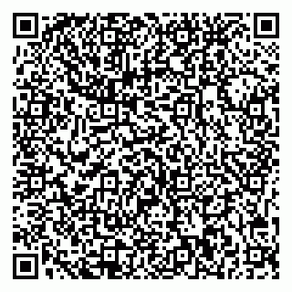 vCard 79541020013