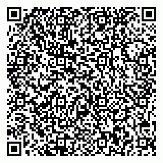 vCard 79541020020