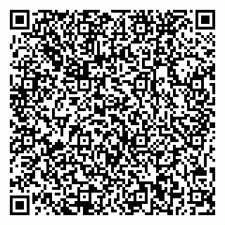 vCard 79541020029