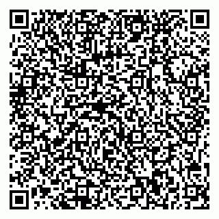 vCard 79541020033