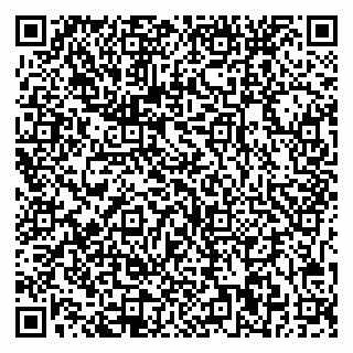 vCard 79541020049