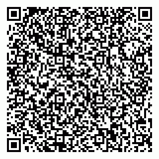 vCard 79541020065