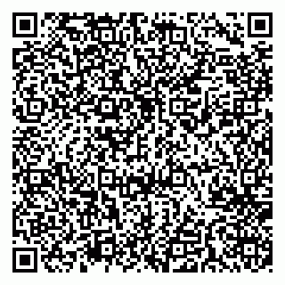 vCard 79541020096