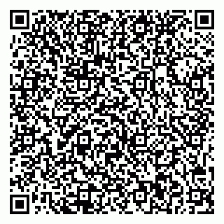 vCard 79541020101