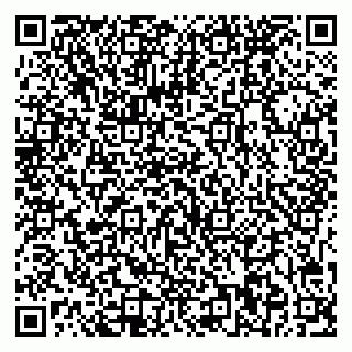 vCard 79541020129