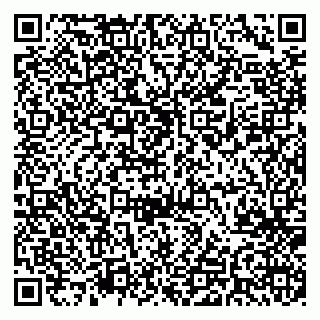 vCard 79541020131