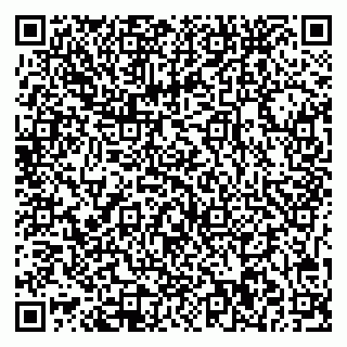 vCard 79541020133