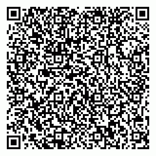 vCard 79541020137