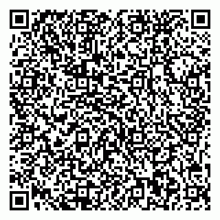 vCard 79541020138