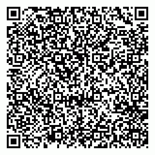 vCard 79541020163