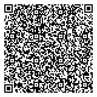 vCard 79541020229