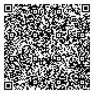 vCard 79541020238