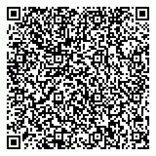 vCard 79541020265