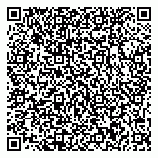 vCard 79541020272