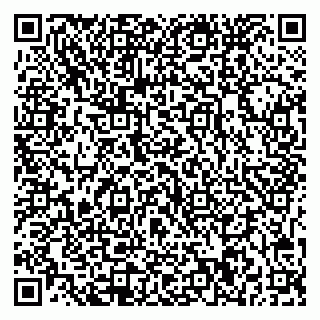 vCard 79541020273