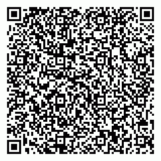 vCard 79541020291