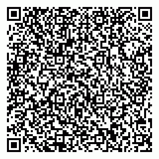 vCard 79541020293