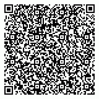 vCard 79541020294