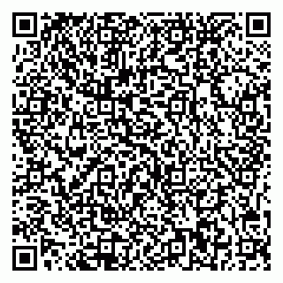 vCard 79541020299
