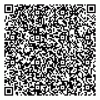 vCard 79541020313