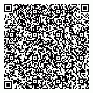 vCard 79541020317