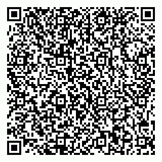 vCard 79541020319