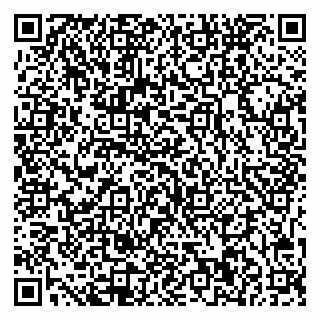 vCard 79541020324