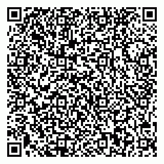 vCard 79541020328