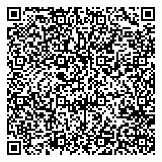 vCard 79541020329