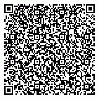 vCard 79541020330