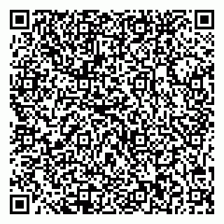 vCard 79541020331