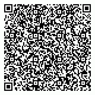 vCard 79541020332