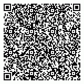 vCard 79541020333