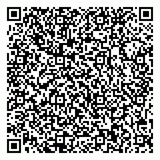 vCard 79541020334