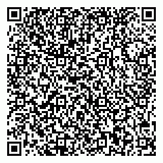 vCard 79541020378