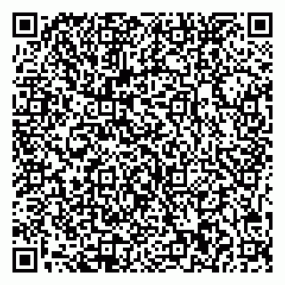 vCard 79541020380