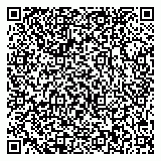 vCard 79541020381