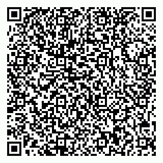 vCard 79541020382