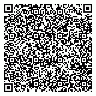 vCard 79541020384