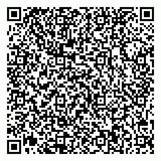 vCard 79541020385