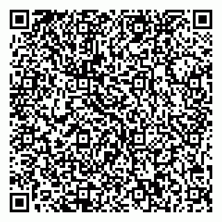 vCard 79541020387
