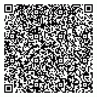 vCard 79541020389