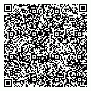 vCard 79541020393