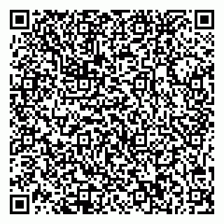 vCard 79541020397