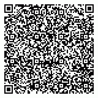 vCard 79541020399