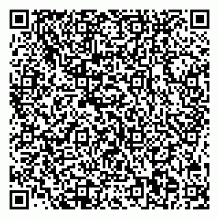 vCard 79544000539