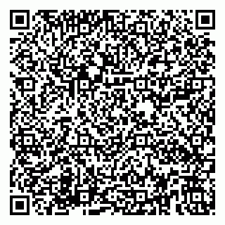 vCard 79580100002