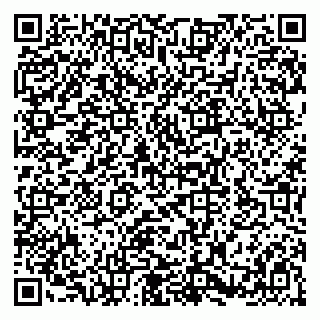 vCard 79580100003