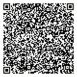 vCard 79580100004