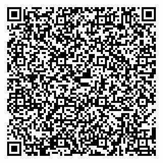 vCard 79580100017